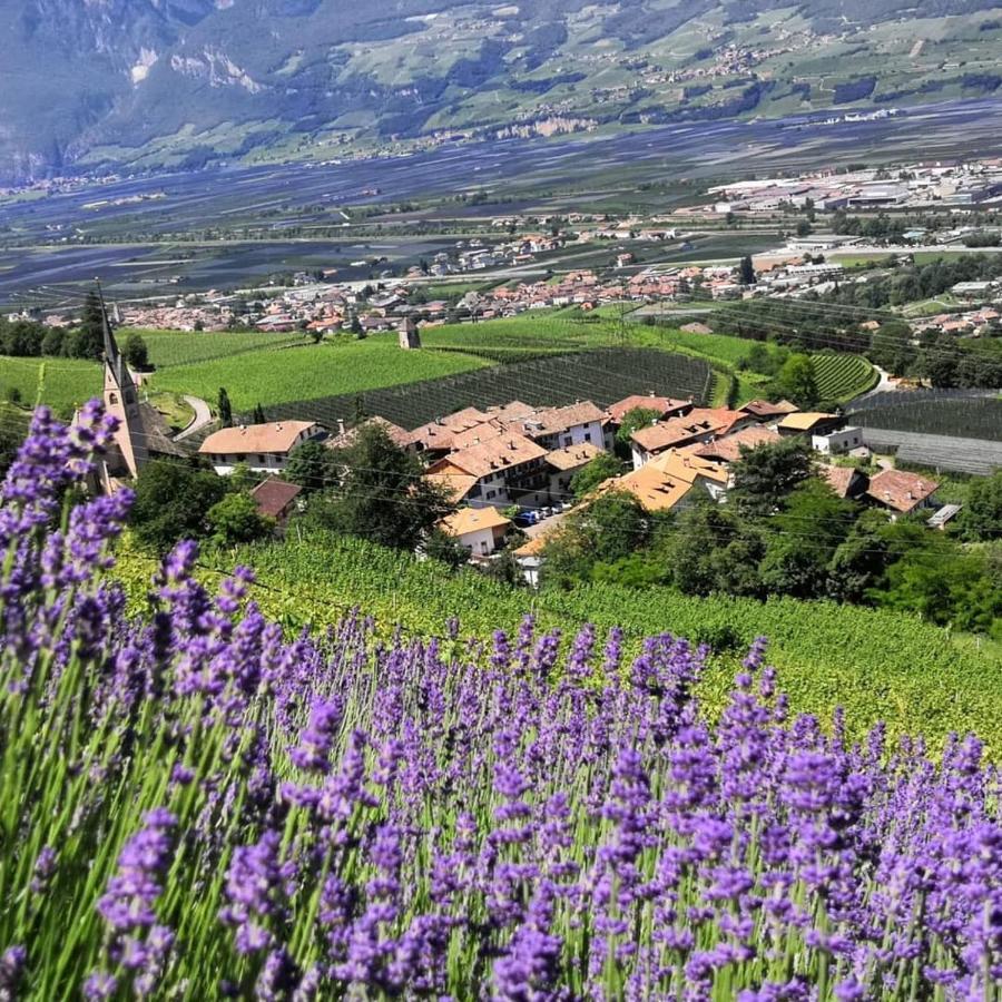 Amplatz 1523 - B&B And Suites Hotel Montagna